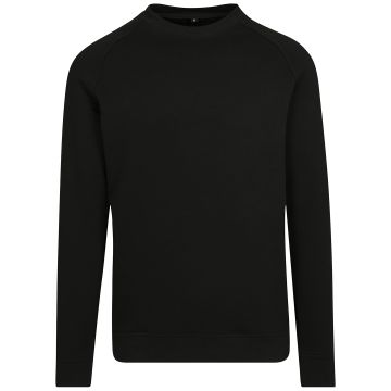 Raglan sweat crew neck